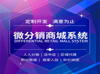 企业网站建设、手机微信&B2C商城开发、响应式设计